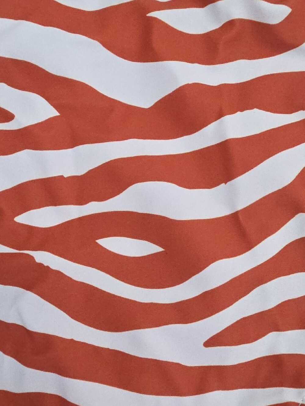 NWOT Brown and White Zebra Print Bikini Set - Picture 3 of 7